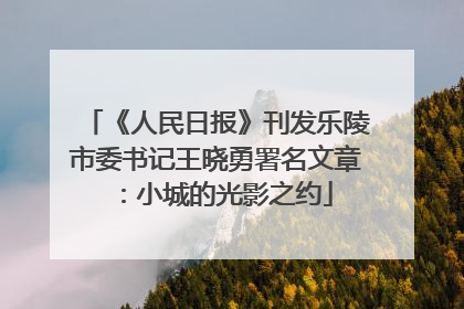 《人民日报》刊发乐陵市委书记王晓勇署名文章：小城的光影之约