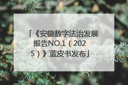 《安徽数字法治发展报告NO.1（2025）》蓝皮书发布