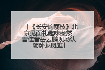 《长安的荔枝》北京见面礼趣味盎然 雷佳音岳云鹏现场认领卧龙凤雏