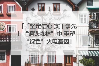 「坚定信心 实干争先」“钢铁森林”中 重塑“绿色”火电基因