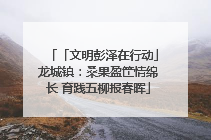 「文明彭泽在行动」龙城镇：桑果盈筐情绵长 育践五柳报春晖