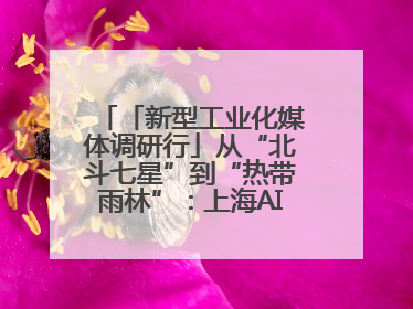 「新型工业化媒体调研行」从“北斗七星”到“热带雨林”：上海AI生态的技术商业共生密码