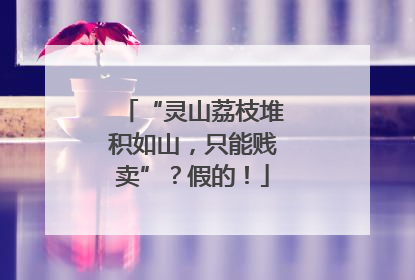 “灵山荔枝堆积如山，只能贱卖”？假的！