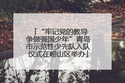 “牢记党的教导 争做强国少年”青岛市示范性少先队入队仪式在崂山区举办