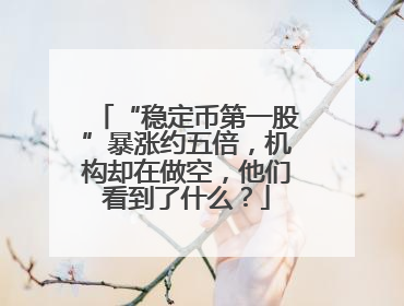 “稳定币第一股”暴涨约五倍，机构却在做空，他们看到了什么？