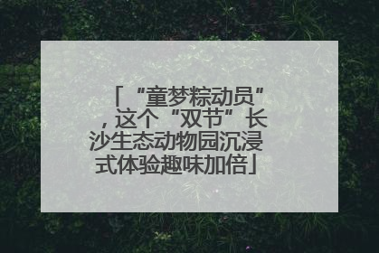 “童梦粽动员”，这个“双节”长沙生态动物园沉浸式体验趣味加倍