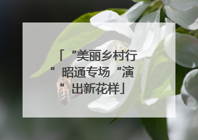 “美丽乡村行”昭通专场“演”出新花样