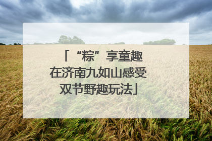 “粽”享童趣 在济南九如山感受双节野趣玩法