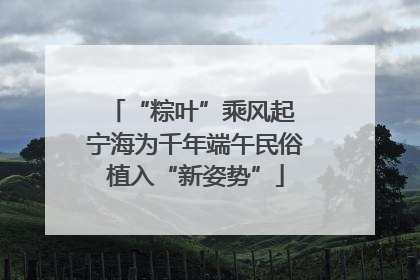 “粽叶”乘风起 宁海为千年端午民俗植入“新姿势”