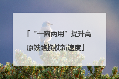 “一窗两用”提升高原铁路换枕新速度