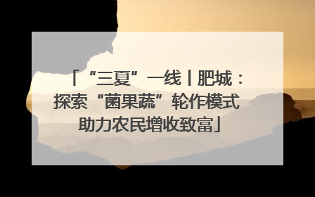 “三夏”一线丨肥城：探索“菌果蔬”轮作模式 助力农民增收致富