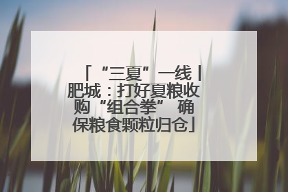 “三夏”一线丨肥城：打好夏粮收购“组合拳” 确保粮食颗粒归仓