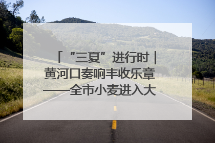 “三夏”进行时｜黄河口奏响丰收乐章——全市小麦进入大面积收获高峰期