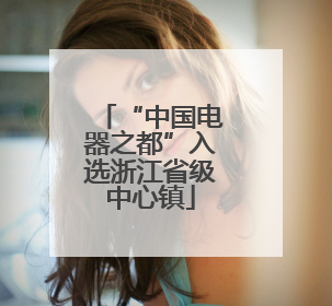 “中国电器之都”入选浙江省级中心镇