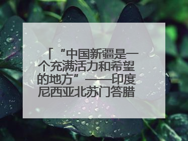 “中国新疆是一个充满活力和希望的地方”——印度尼西亚北苏门答腊省伊斯兰教代表团参访新疆