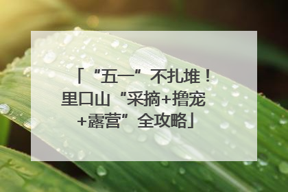 “五一”不扎堆！里口山“采摘+撸宠+露营”全攻略