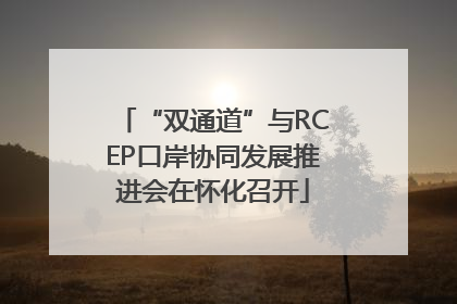 “双通道”与RCEP口岸协同发展推进会在怀化召开