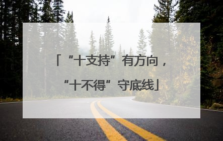 “十支持”有方向，“十不得”守底线