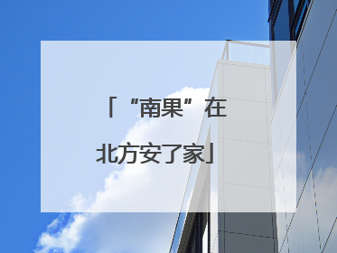“南果”在北方安了家