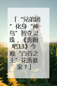 “兄弟团”化身“神鸟”智夺灵珠，《奔跑吧13》今晚“百谷之王”花落谁家？