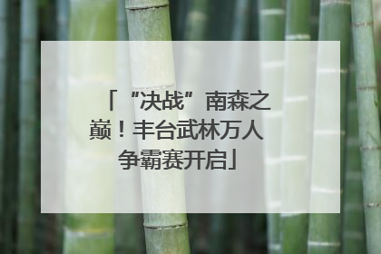 “决战”南森之巅！丰台武林万人争霸赛开启