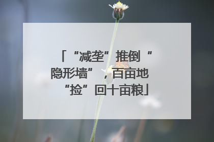 “减垄”推倒“隐形墙”，百亩地“捡”回十亩粮