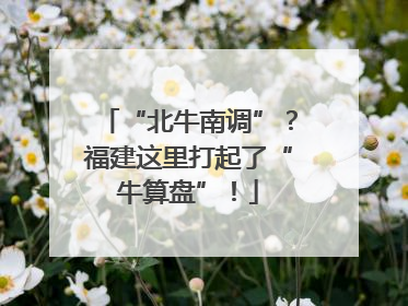 “北牛南调”？福建这里打起了“牛算盘”！