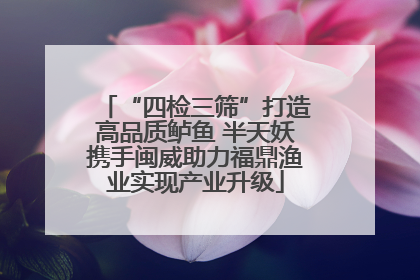 “四检三筛”打造高品质鲈鱼 半天妖携手闽威助力福鼎渔业实现产业升级