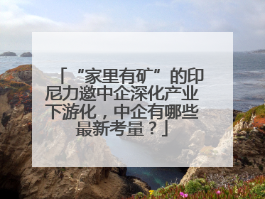 “家里有矿”的印尼力邀中企深化产业下游化，中企有哪些最新考量？