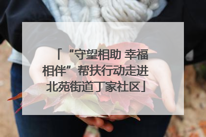 “守望相助 幸福相伴”帮扶行动走进北苑街道丁家社区