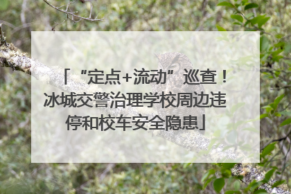 “定点+流动”巡查！冰城交警治理学校周边违停和校车安全隐患