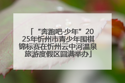 “奔跑吧·少年”2025年忻州市青少年围棋锦标赛在忻州云中河温泉旅游度假区圆满举办