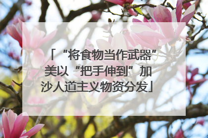 “将食物当作武器” 美以“把手伸到”加沙人道主义物资分发
