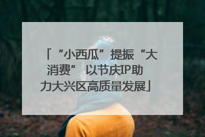 “小西瓜”提振“大消费” 以节庆IP助力大兴区高质量发展