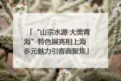 “山宗水源·大美青海”特色展亮相上海 多元魅力引客商聚焦