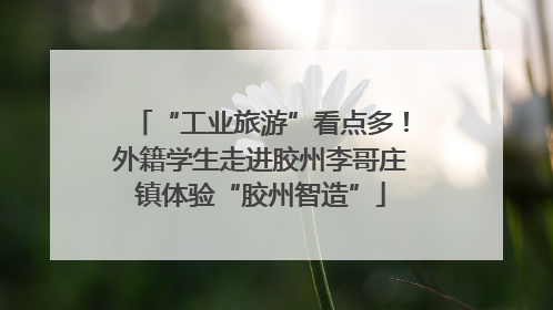 “工业旅游”看点多！外籍学生走进胶州李哥庄镇体验“胶州智造”