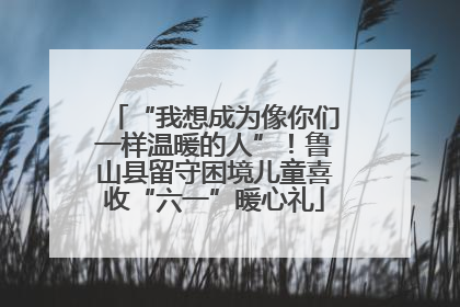 “我想成为像你们一样温暖的人”！鲁山县留守困境儿童喜收“六一”暖心礼