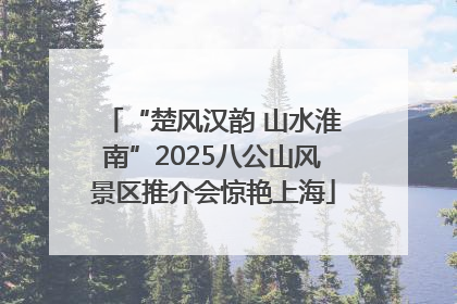 “楚风汉韵 山水淮南”2025八公山风景区推介会惊艳上海