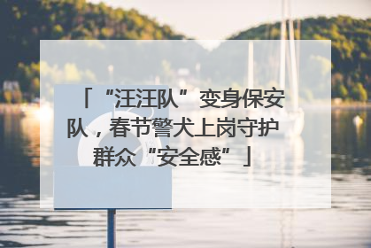 “汪汪队”变身保安队，春节警犬上岗守护群众“安全感”