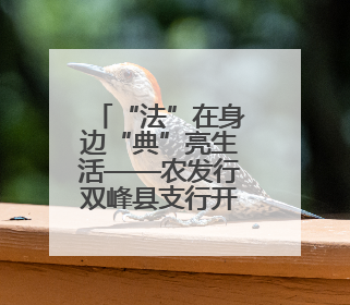 “法”在身边“典”亮生活——农发行双峰县支行开展“民法典宣传月”活动
