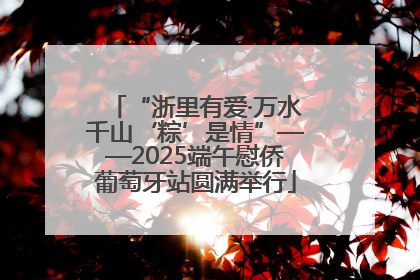 “浙里有爱·万水千山‘粽’是情”——2025端午慰侨葡萄牙站圆满举行