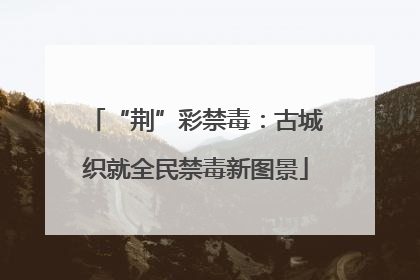 “荆”彩禁毒：古城织就全民禁毒新图景