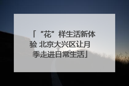 “花”样生活新体验 北京大兴区让月季走进日常生活