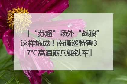 “苏超”场外“战狼”这样炼成！南通巡特警37℃高温砺兵锻铁军