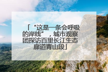 “这是一条会呼吸的岸线”，城市观察团探访百里长江生态廊道青山段