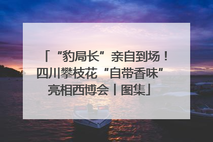 “豹局长”亲自到场！四川攀枝花“自带香味”亮相西博会丨图集