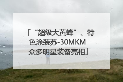 “超级大黄蜂”、特色涂装苏-30MKM 众多明星装备亮相