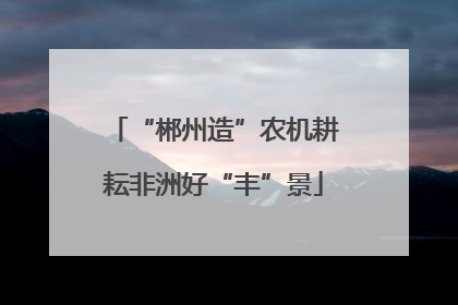 “郴州造”农机耕耘非洲好“丰”景