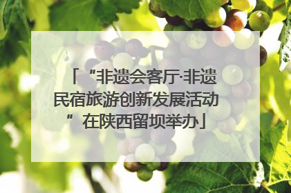 “非遗会客厅·非遗民宿旅游创新发展活动”在陕西留坝举办