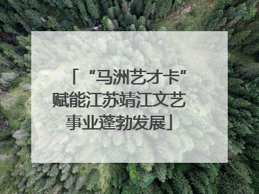 “马洲艺才卡”赋能江苏靖江文艺事业蓬勃发展